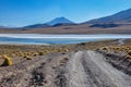 Gorgeous landscapes of Sur Lipez, South Bolivia Royalty Free Stock Photo