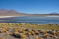 Gorgeous landscapes of Sur Lipez, South Bolivia Royalty Free Stock Photo