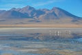 Gorgeous landscapes of Sur Lipez, South Bolivia Royalty Free Stock Photo