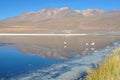 Gorgeous landscapes of Sur Lipez, South Bolivia Royalty Free Stock Photo