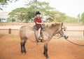 Gorgeous Little boy riding horse Royalty Free Stock Photo