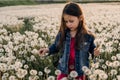 Gorgeous little lady walking in white dandelions field, looking down and searching for best plant with posy in hand. Royalty Free Stock Photo