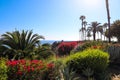 Gorgeous lush green plants and trees with red flowers, palm trees and ocean views with blue sky at Treasure Island Park Royalty Free Stock Photo