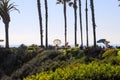 Gorgeous lush green plants and trees with red flowers, palm trees and ocean views with blue sky at Treasure Island Park Royalty Free Stock Photo