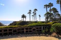 Gorgeous lush green plants and trees with red flowers, palm trees and ocean views with blue sky at Treasure Island Park Royalty Free Stock Photo