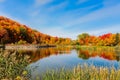 magnificent view of little lake with beautiful colorful autumn forest landscape scenery on sunny great day Royalty Free Stock Photo