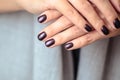 Gorgeous manicure, dark purple tender color nail polish, closeup photo. Female hands over background of casual clothes Royalty Free Stock Photo