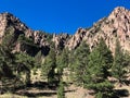 Gorgeous mountains and green trees in Colorado Royalty Free Stock Photo