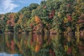 gorgeous natural background of autumn forest reflected in calm lake water