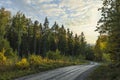 Gorgeous natural landscape view. Country road between yellowing trees on blue sky with white clouds background Royalty Free Stock Photo