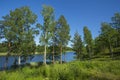 Gorgeous nature landscape view of lake with green tall trees on blue sky background.  Beautiful backgrounds. Royalty Free Stock Photo