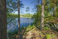 Gorgeous nature landscape view of lake with green tall trees on blue sky background. Sweden, Europe. Beautiful backgrounds. Royalty Free Stock Photo