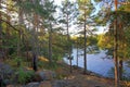 Gorgeous nature landscape view of lake with rocky coast line and green tall trees on blue sky background. Sweden, Europe. Royalty Free Stock Photo