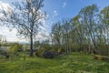 Gorgeous nature landscape view on spring day. Young green grass field and trees on blue sky with white clouds background. Royalty Free Stock Photo