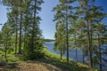 Gorgeous nature landscape view on sunny summer day. Green trees and plants around lake on blue sky background. Royalty Free Stock Photo