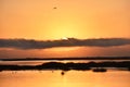 Gorgeous Northern California Wetland Sunrise High Quality Royalty Free Stock Photo