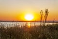 Gorgeous orange sunrise on the lake. Beautiful nature Royalty Free Stock Photo