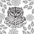 Gorgeous owl coloring page in modern style Royalty Free Stock Photo