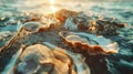 Gorgeous Oysters Elegantly Perched on the Soft Shores, Gently Caressed by the Waves at Sunset on a Tranquil Beach Royalty Free Stock Photo