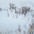 Gorgeous pastel glow sunrise Winter landscape of Loch Ba on Rannoch Moor