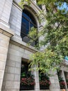 Gorgeous pink flower window boxes in Chicago, Illinois Royalty Free Stock Photo