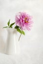 Gorgeous pink peony in a vase