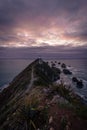 Gorgeous pink sunrise panorama at Nugget Point Lighthouse taken on a cloudy winter day, New Zealand Royalty Free Stock Photo