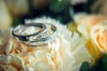 Gorgeous platinum and diamond engagement rings, blurred background, close-up. Crossed rings of white gold lie on wedding bouquet Royalty Free Stock Photo