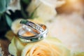 Gorgeous platinum and diamond engagement rings, blurred background, close-up. Crossed rings of white gold lie on wedding bouquet Royalty Free Stock Photo