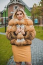 Luxury fur coat concept. Woman in furs