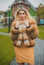 Luxury fur coat concept. Woman in furs