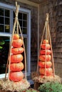 Gorgeous pumpkins stacked in pots