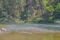 The gorgeous red rook walled Green River flowing through the Flaming Gorge  National Recreation Area in Ashley National Forest, Ut Royalty Free Stock Photo