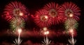 Gorgeous red and white fireworks exploding brilliantly in a dark night sky creating an amazing colorful display Royalty Free Stock Photo