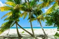 Gorgeous relaxing pretty inviting view on white sand tropical beach with fluffy fresh green coconut palms against tranquil turquoi