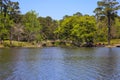 A gorgeous rippling blue lake with a brown wooden bridge over the water surrounded by lush green trees, grass and plants Royalty Free Stock Photo