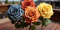 Gorgeous roses, like a flower fireworks, exploding with paints and aromas in the vastness of the