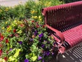 Red metal bench with colorful flowers Royalty Free Stock Photo