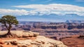 A gorgeous scenery of a canyon with eroded rocks and buttes and distant mountains in the view