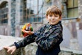 Gorgeous school kid boy feeding parrots in zoological garden. Child playing and feed trusting friendly birds in zoo and Royalty Free Stock Photo