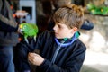 Gorgeous school kid boy feeding parrots in zoological garden. Child playing and feed trusting friendly birds in zoo and Royalty Free Stock Photo