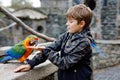 Gorgeous school kid boy feeding parrots in zoological garden. Child playing and feed trusting friendly birds in zoo and Royalty Free Stock Photo