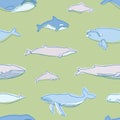 Gorgeous seamless pattern with aquatic animals or marine mammals hand drawn on green background - blue, humpback, beluga