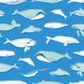 Gorgeous seamless pattern with various aquatic marine mammals hand drawn on blue background - whales, narwhal, dolphin