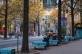 A gorgeous shot of an autumn landscape in the city with rows of blue benches surrounded by gorgeous autumn colored trees