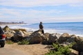 A gorgeous shot of the beach along the coast with vast blue ocean water, large rocks along the beach, silky sand with blue sky