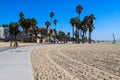 A gorgeous shot of a day at the beach with silky brown sand, lush green palm trees, people walking and riding bikes