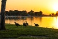 A gorgeous shot of a lake with rippling water at sunset with lush green trees and mountain ranges and Canadian geese on the banks Royalty Free Stock Photo