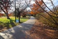 A gorgeous shot of a long smooth winding footpath in the park surrounded by gorgeous autumn colored trees with blue sky and clouds