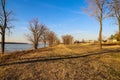 A gorgeous shot of a long stretch of yellow winter colored grass and rows of bare trees in the park along the Mississippi river